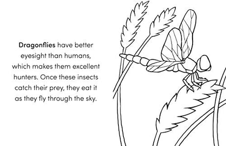 Bug Book for Kids: Coloring Fun and Awesome Facts - Retail Maharaj