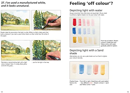 Charles Evans' Watercolour Rescue - Retail Maharaj