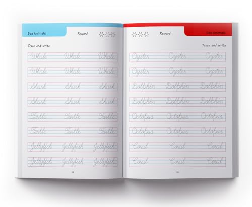 Cursive Handwriting - Everyday Letters and Sentences : Level 2 Practice Workbooks For Children (Set of 2 Books) - Retail Maharaj