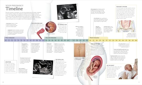 The Pregnancy Encyclopedia: All Your Questions Answered - Retail Maharaj