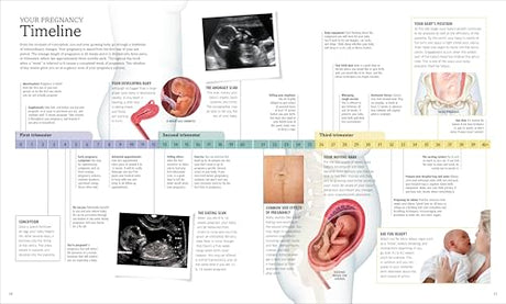 The Pregnancy Encyclopedia: All Your Questions Answered - Retail Maharaj