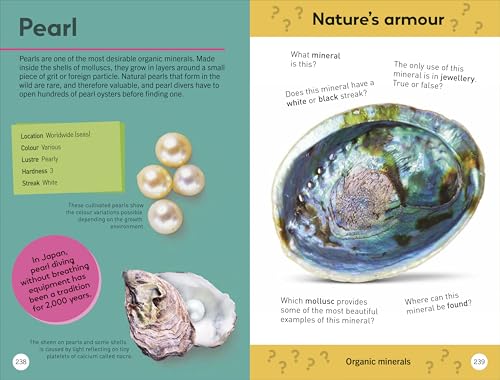 Quiz Yourself Clever! Rocks and Minerals (DK Quiz Yourself Clever) - Retail Maharaj