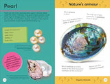 Quiz Yourself Clever! Rocks and Minerals (DK Quiz Yourself Clever) - Retail Maharaj
