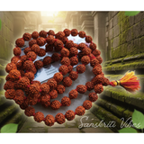 Five Mukhi Rudraksha Mala 108 Beads with Certificate for Meditation and Spiritual Healing