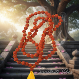 Holy Original Real Rudraksha Kanthi Mala 108 plus 1 Beads Spiritual Japa Mala for Meditation and Protection - Retail Maharaj
