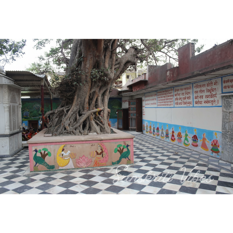 Banshi Vat Vrindavan Prasadi Sewa Buy Online Divine Mahaprasad Delivery from Banshi Vat Vrindavan - Retail Maharaj