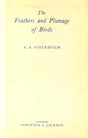 The Feathers and Plumage of Birds 1st edition - Retail Maharaj