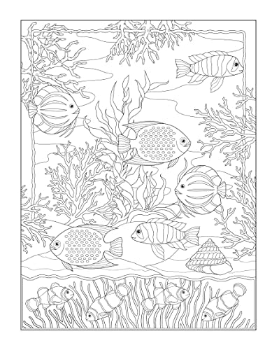 Creative Haven Tropical Wonders Coloring Book - Retail Maharaj