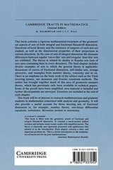 The Geometry of Fractal Sets - Retail Maharaj