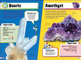 Rocks and Minerals Ultimate Handbook: The Need-to-Know Facts and Stats on More Than 200 Rocks and Minerals - Retail Maharaj