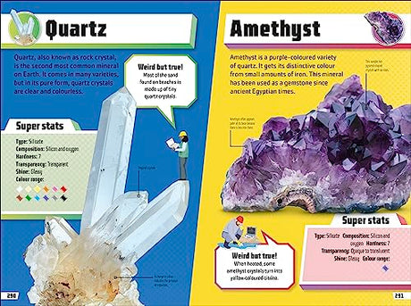 Rocks and Minerals Ultimate Handbook: The Need-to-Know Facts and Stats on More Than 200 Rocks and Minerals - Retail Maharaj