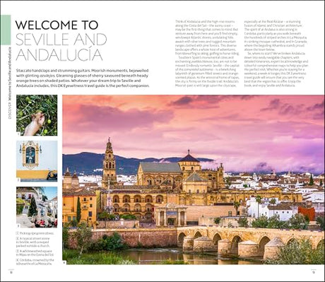 DK Seville and Andalucia - Retail Maharaj