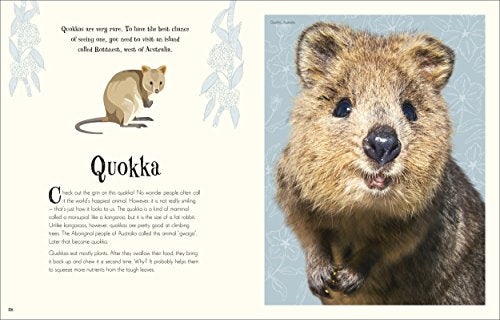 An Anthology of Intriguing Animals - Retail Maharaj