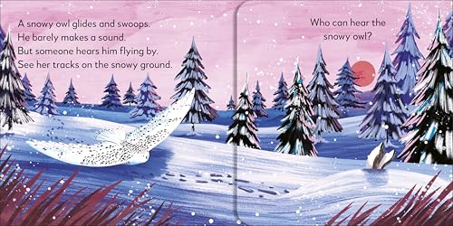 Pop-up Peekaboo! Winter: Pop-Up Surprise Under Every Flap! - Retail Maharaj