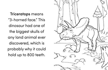 Dinosaur Book for Kids: Coloring Fun and Awesome Facts - Retail Maharaj