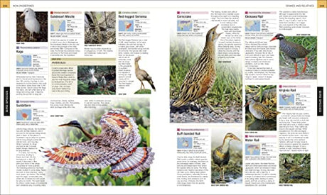 Bird: The Definitive Visual Guide - Retail Maharaj