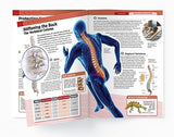 Human Body - Skeletal And Muscular System: Knowledge Encyclopedia For Children - Retail Maharaj