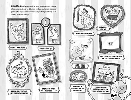 Kay's Anatomy: A Complete (and Completely Disgusting) Guide to the Human Body - Retail Maharaj