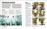 Grow Orchids: Essential Know-how and Expert Advice for Gardening Success - Retail Maharaj
