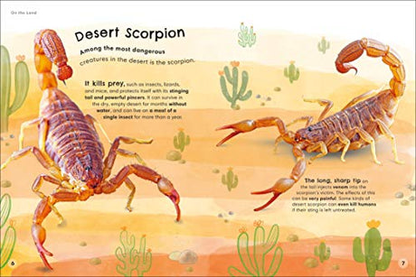 Animals Up Close: Animals as you've Never Seen them Before (DK Look Closer) - Retail Maharaj