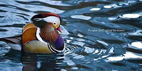 The Tale of the Mandarin Duck: A Modern Fable - Retail Maharaj
