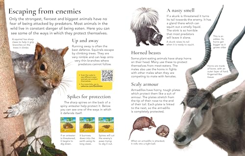 First Encyclopedia of Animals - Retail Maharaj