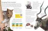 First Encyclopedia of Animals - Retail Maharaj