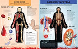 Inside Out Human Body - Retail Maharaj