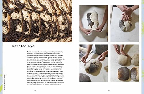 Bread Book: Ideas and Innovations from the Future of Grain, Flour, and Fermentation [A Cookbook] - Retail Maharaj