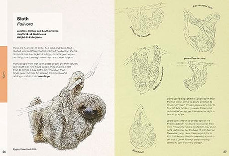 Ben Rothery's Weird and Wonderful Animals - Retail Maharaj