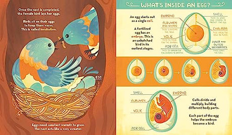 What's Inside A Bird's Nest?: And Other Questions About Nature & Life Cycles - Retail Maharaj