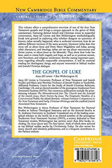 The Gospel of Luke - Retail Maharaj