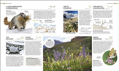 Habitats: Discover Earth's Precious Wild Places - Retail Maharaj