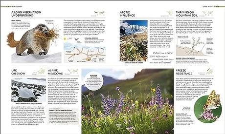 Habitats: Discover Earth's Precious Wild Places - Retail Maharaj