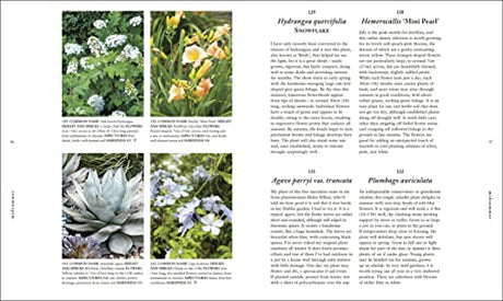 RHS A Plant for Every Day of the Year - Retail Maharaj