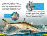 DK Super Readers Level 2 Great White Sharks - Retail Maharaj