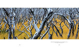 Trees: Between Earth and Heaven - Retail Maharaj