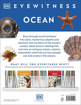 Ocean - Retail Maharaj