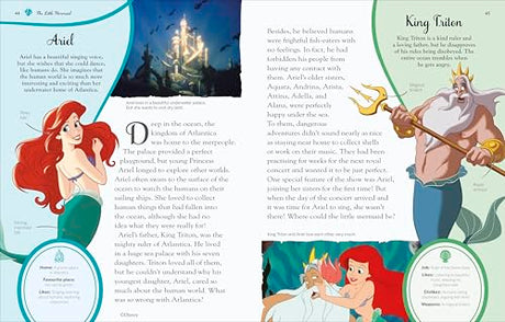 Disney Princess Enchanted Character Guide - Retail Maharaj
