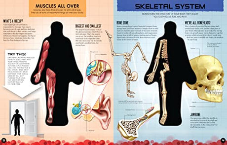 Inside Out Human Body - Retail Maharaj