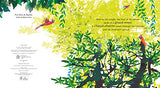 Jungle Jamboree - Retail Maharaj