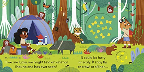 Little World: Jungle Journey: A push-and-pull adventure - Retail Maharaj