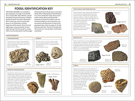 Fossils (DK Handbooks) - Retail Maharaj