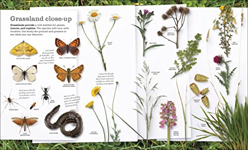Chris Packham's Nature Handbook: Explore the Wonders of the Natural World - Retail Maharaj