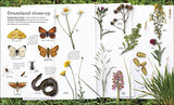 Chris Packham's Nature Handbook: Explore the Wonders of the Natural World - Retail Maharaj