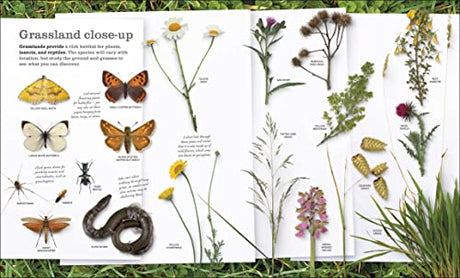 Chris Packham's Nature Handbook: Explore the Wonders of the Natural World - Retail Maharaj