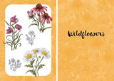 Botanicals: Draw over 50 Plants in 10 Easy Steps (10 Step Drawing) - Retail Maharaj