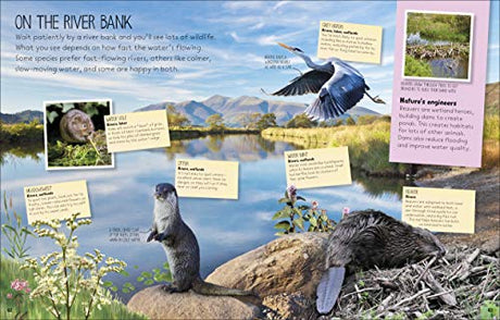 Nature Spotter - Retail Maharaj