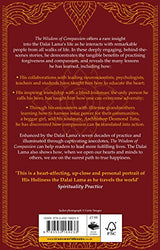 The Wisdom of Compassion: Stories of Remarkable Encounters and Timeless Insights - Retail Maharaj