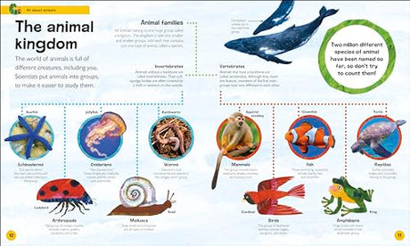 The Very Hungry Caterpillar's Very First Animal Encyclopedia: An Introduction to Animals, For VERY Hungry Young Minds - Retail Maharaj